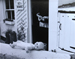 Bed & Breakfast, St. Ives