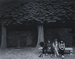 Park Bench, Versaille